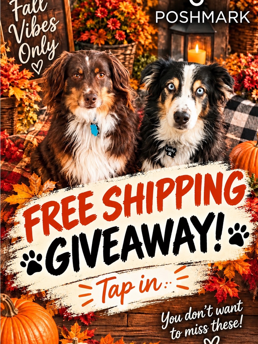๐พ Congrats!!! You won Free Shipping ๐๐ - Picture 1 of 1
